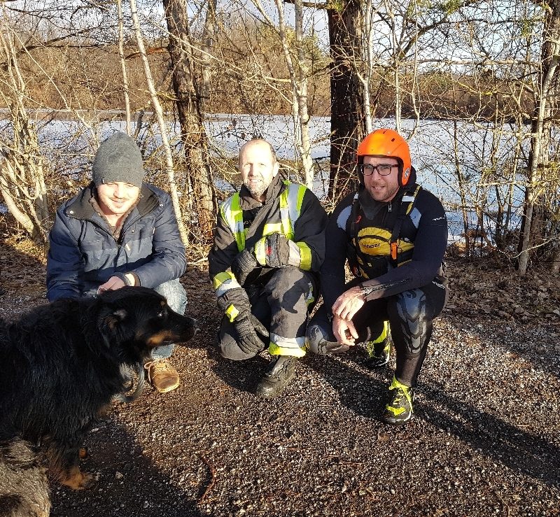 Hund in Eis eingebrochen (Bild 1)